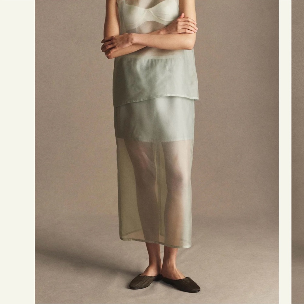 P. Johnson Organza Skirt NWT